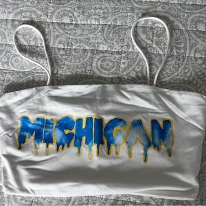 Michigan top- small